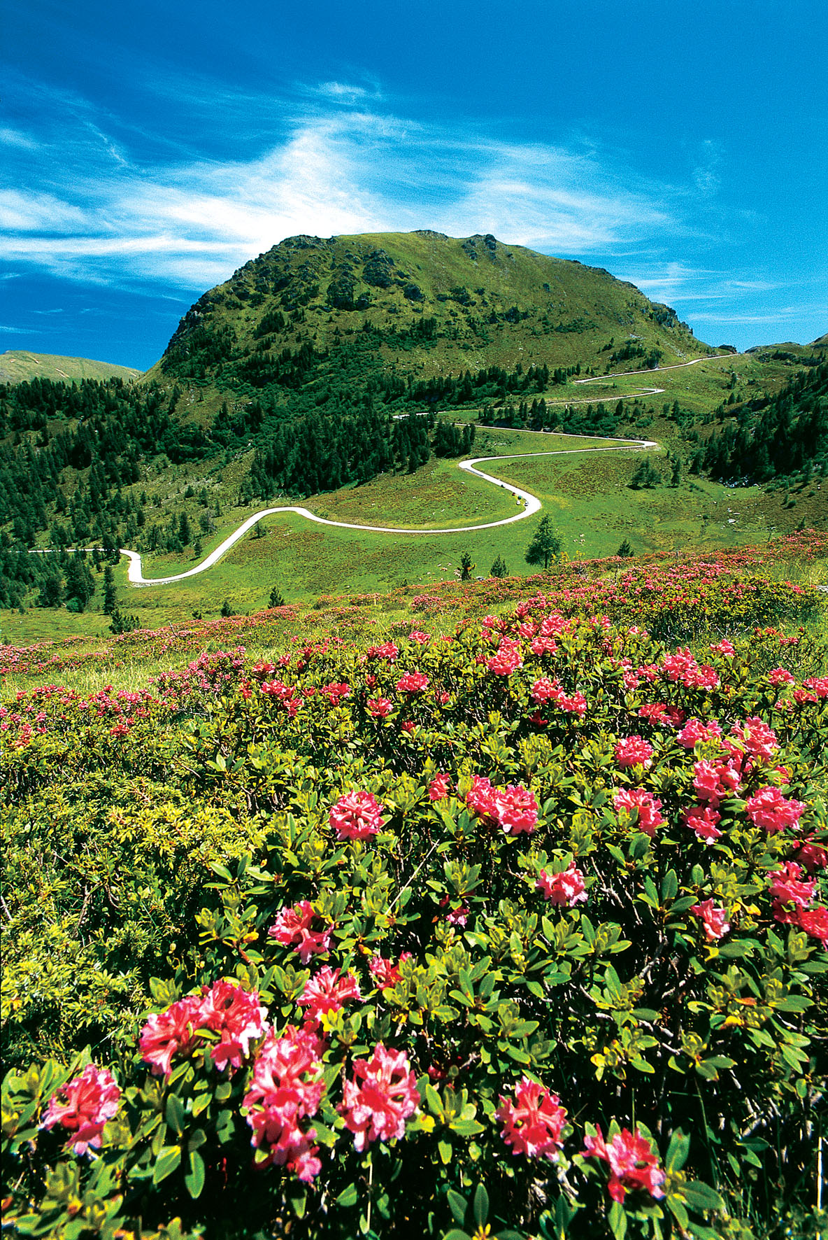 Nockalmstrasse in Kärnten